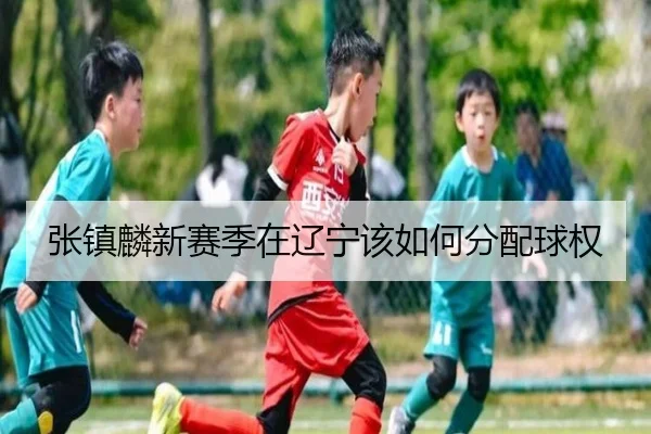张镇麟新赛季在辽宁该如何分配球权