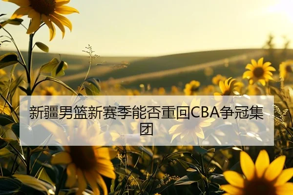 新疆男篮新赛季能否重回CBA争冠集团